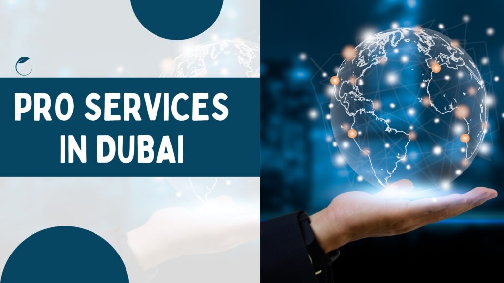 PRO Services in Dubai